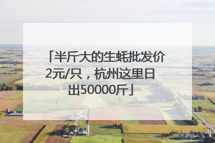 半斤大的生蚝批发价2元/只，杭州这里日出50000斤