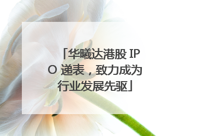 华曦达港股 IPO 递表，致力成为行业发展先驱
