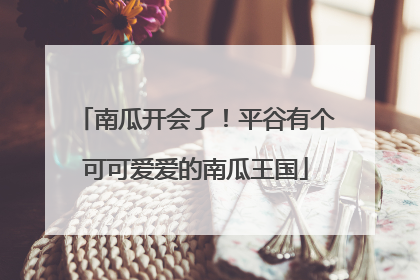 南瓜开会了！平谷有个可可爱爱的南瓜王国