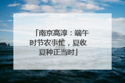 南京高淳：端午时节农事忙，夏收夏种正当时