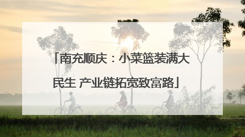 南充顺庆：小菜篮装满大民生 产业链拓宽致富路