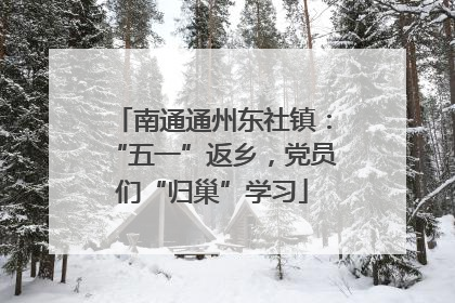南通通州东社镇：“五一”返乡，党员们“归巢”学习