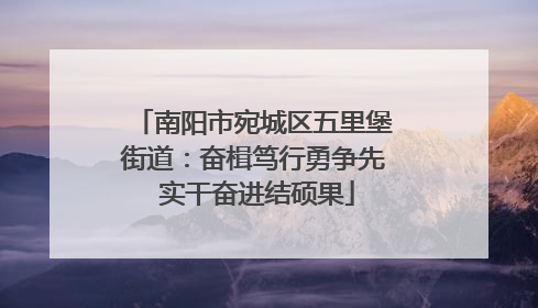 南阳市宛城区五里堡街道：奋楫笃行勇争先 实干奋进结硕果