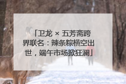 卫龙 × 五芳斋跨界联名：辣条粽横空出世，端午市场掀狂澜