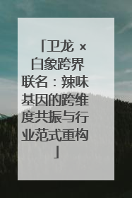 卫龙 × 白象跨界联名：辣味基因的跨维度共振与行业范式重构