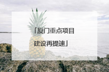 厦门重点项目建设再提速