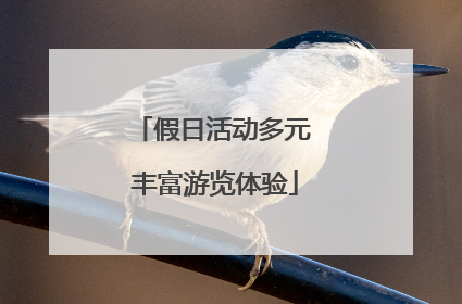 假日活动多元 丰富游览体验