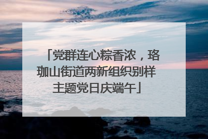 党群连心粽香浓，珞珈山街道两新组织别样主题党日庆端午