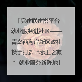 党建联建搭平台 就业服务进社区——青岛西海岸新区政社携手打造“零工之家”就业服务新阵地