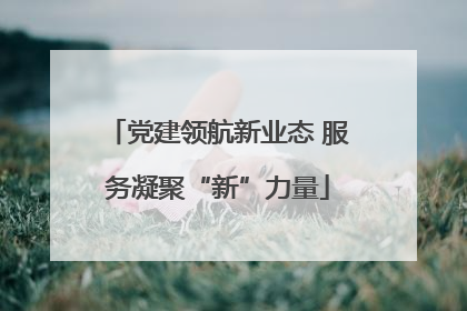 党建领航新业态 服务凝聚“新”力量