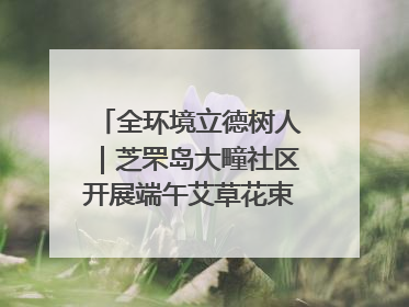 全环境立德树人｜芝罘岛大疃社区开展端午艾草花束DIY活动