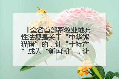 全省首部畜牧业地方性法规是关于“中华熊猫猪”的，让“土特产”成为“新国潮”，让“农产品”升格为“城市IP”