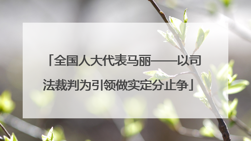 全国人大代表马丽——以司法裁判为引领做实定分止争