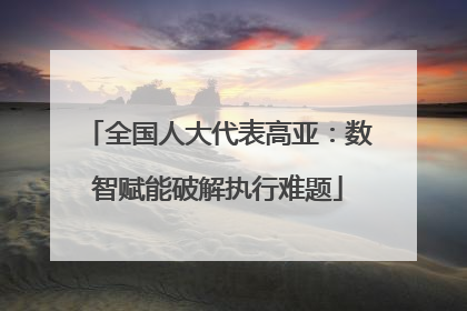 全国人大代表高亚：数智赋能破解执行难题