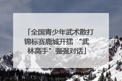 全国青少年武术散打锦标赛鹿城开擂 “武林高手”强强对话