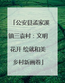 公安县孟家溪镇三袁村：文明花开 绘就和美乡村新画卷