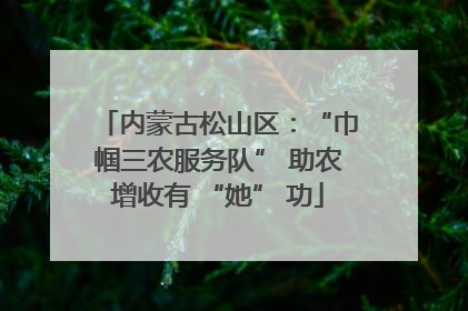 内蒙古松山区：“巾帼三农服务队” 助农增收有 “她” 功