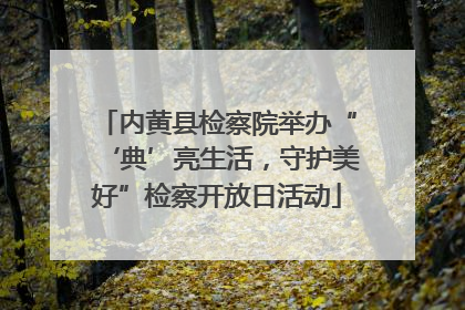 内黄县检察院举办“‘典’亮生活，守护美好”检察开放日活动