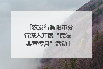 农发行衡阳市分行深入开展“民法典宣传月”活动
