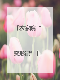 农家院“变形记”