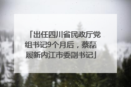 出任四川省民政厅党组书记9个月后，蔡磊履新内江市委副书记