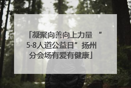 凝聚向善向上力量 “5·8人道公益日”扬州分会场有爱有健康
