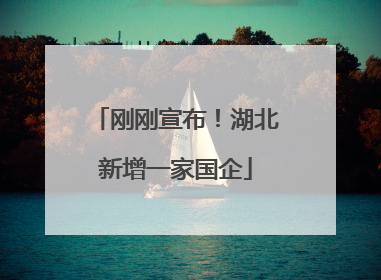 刚刚宣布！湖北新增一家国企