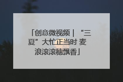 创意微视频｜“三夏”大忙正当时 麦浪滚滚穗飘香