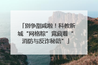别争甜咸啦！科教新城“网格粽”竟藏着“消防与反诈秘籍”
