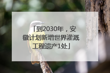 到2030年，安徽计划新增世界灌溉工程遗产1处