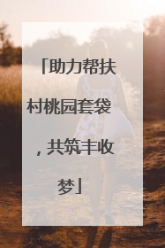 助力帮扶村桃园套袋，共筑丰收梦