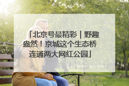 北京号最精彩｜野趣盎然！京城这个生态桥连通两大网红公园