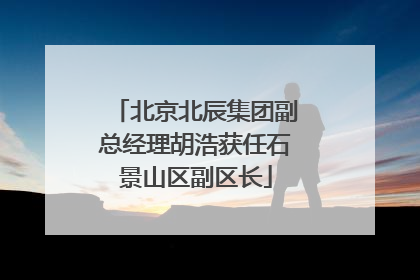 北京北辰集团副总经理胡浩获任石景山区副区长