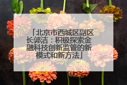 北京市西城区副区长郭洁：积极探索金融科技创新监管的新模式和新方法