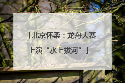 北京怀柔：龙舟大赛上演“水上拔河”