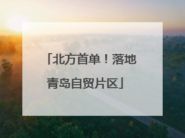 北方首单！落地青岛自贸片区