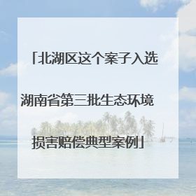 北湖区这个案子入选湖南省第三批生态环境损害赔偿典型案例