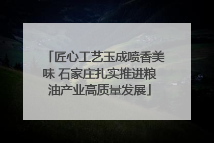 匠心工艺玉成喷香美味 石家庄扎实推进粮油产业高质量发展