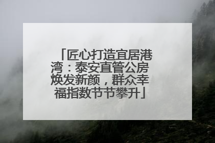 匠心打造宜居港湾：泰安直管公房焕发新颜，群众幸福指数节节攀升