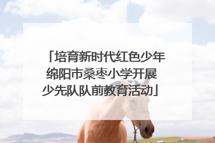 培育新时代红色少年 绵阳市桑枣小学开展少先队队前教育活动