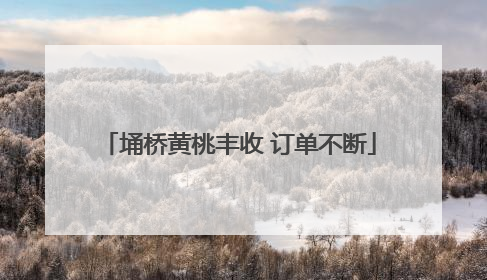 埇桥黄桃丰收 订单不断