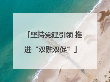 坚持党建引领 推进“双融双促”