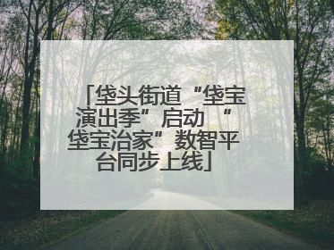 垡头街道“垡宝演出季”启动 “垡宝治家”数智平台同步上线