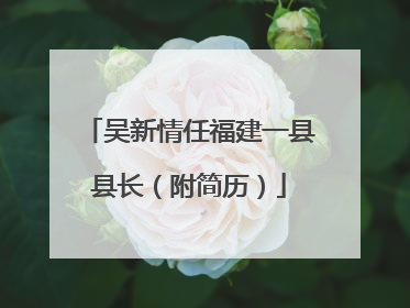 吴新情任福建一县县长（附简历）