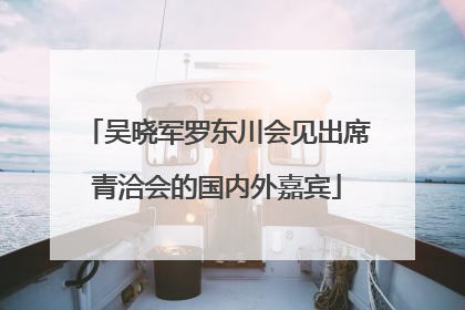 吴晓军罗东川会见出席青洽会的国内外嘉宾