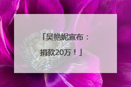 吴艳妮宣布：捐款20万！