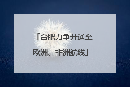 合肥力争开通至欧洲、非洲航线