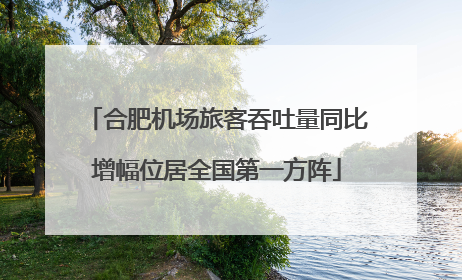 合肥机场旅客吞吐量同比增幅位居全国第一方阵