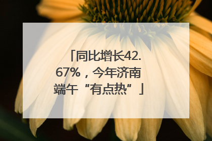 同比增长42.67%，今年济南端午“有点热”