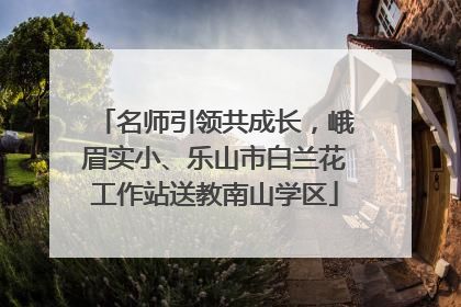 名师引领共成长，峨眉实小、乐山市白兰花工作站送教南山学区
